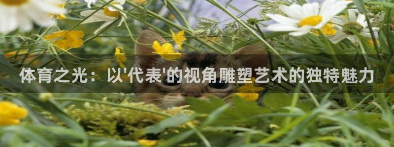 77体育官网：体育之光：以\'代表\'的视角雕塑艺术的独特魅力
