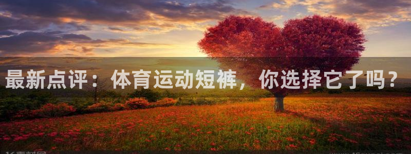 77体育app下载官网：最新点评：体育运动短裤，你选择它了吗？